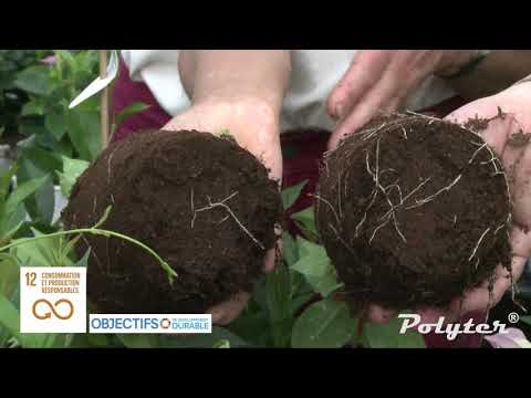 Le_Polyter_-_Sa_composition POLYTER &reg;  - Video